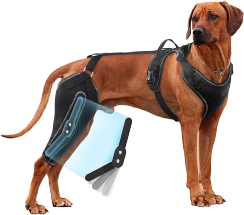 RISURRY Hunde-Kniebandage für Rücken- und Beine, mit Metallschiene, gerissenes ACL/CCL Hinterbein, Unterstützung bei Kreuzbandverletzungen, Arthritis, Gelenkschmerzen, Muskelkater usw. (rechtes Bein, von RISURRY