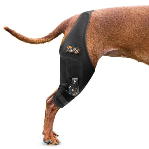 RISURRY Hunde-Kniebandage mit verstellbarem Scharnier-Stabilisator, Hunde-Kniebandage, unterstützt Arthrose, Genesung und Gelenkstütze, hergestellt aus hochwertigem Neopren (rechtes Bein, M) von RISURRY