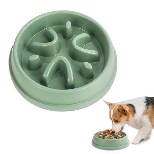 Anti Schling Napf Hund, Hundenapf Langsame, 20,5 cm Futternapf Hund und Futterschüsseln, Slow Feeder Dog Bowl für Katzen und kleine Hunde von RISVOWO