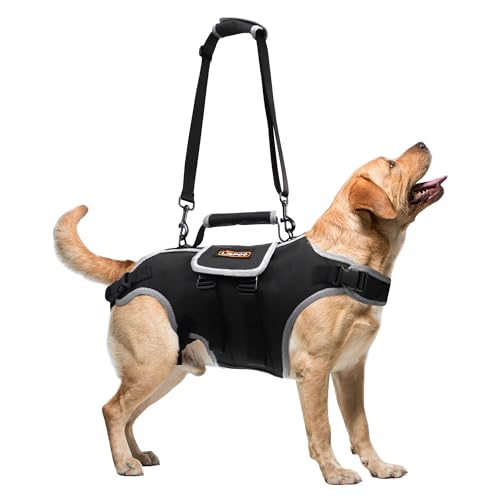 Dog Lift Harness Full Body Dog Lift Harness for Large Dog with Adjustable Control Handle Reflective Straps for Senior Dogs, Post Surgery Recovery, Dogs with Joint Problems, Oxford Cloth L von RIXBEO