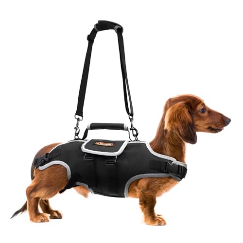 RIXBEO Dog Lift Harness Full Body Dog Lift Harness für Medium Dogs mit verstellbarem Griff und reflektierenden Streifen für Senior Dogs, Post-OP-Erholung, Gelenkprobleme, Oxford-Gewebe, Schwarz, M von RIXBEO