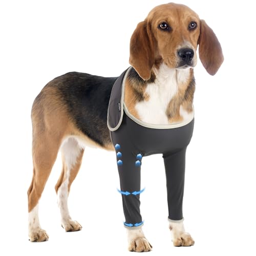 Genesungsanzug für Hunde, Vorderbein, Hunde-Genesungsanzug, weiblich/männlich, Haustier-Armmanschette, chirurgischer Anzug, Kegelhalsband, Alternative, Größe M von RIXBEO