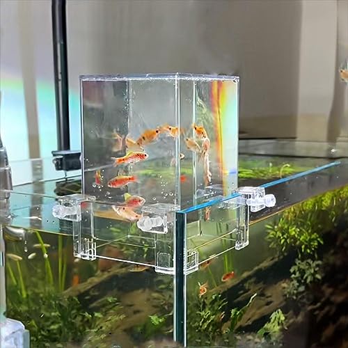 RJSQAQE Turm-Aquarium, transparentes Acryl-Aquarium, automatische Nachfüllung, Wasserstandspflege, vakuumhängtes Aquarium für Fische von RJSQAQE