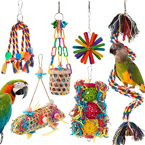 RLRICH 6 Stück bunte Vogel-Kauspielzeug für Papageien, Futterhäcksler zum Aufhängen, Futtersuche, Spielzeug, bequeme Sitzstange für Papageien, Spielzeug für Seil, Bungee von RLRICH