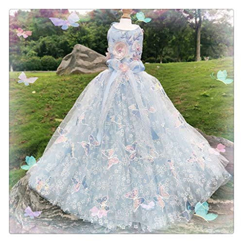 Gänseblümchen Blume Sommer Haustier Kleid Hochzeitskleid Sommer ?Kleid Multi Blatt Blume Rock Hunderock Haustier Rock Blau (Größe: XS) von RLUYFGGTLNHGT