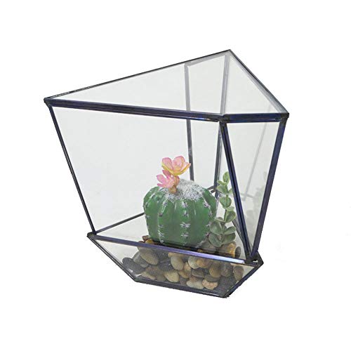 Pflanzenbehälter Einzigartig Modern Metall Glas Unregelmäßig Geometrisch Für Zuhause Und Hochzeit Innen- und Außendekoration (Farbe: Messing Größe: 18 x 15 x 16,5 cm) (Schwarz 18 x 15 x 16,5 cm) von RLUYFGGTLNHGT