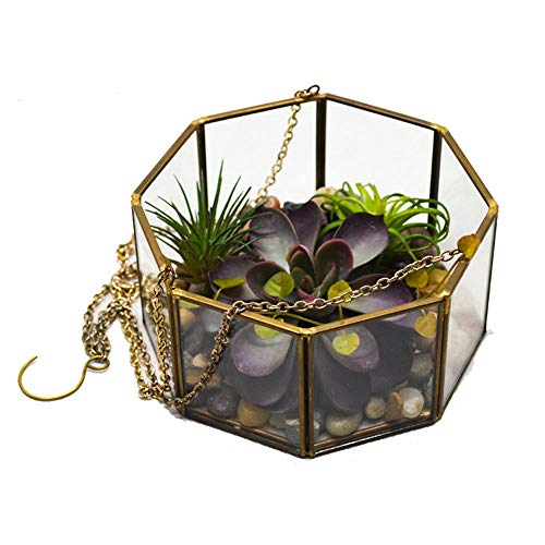 Pflanzenbehälter Kreative Moderne Innenöffnung Wandbehang Glas Geometric Terrarium Tabletop Sukkulent Air Plants Holder Wedding Aisle Pedestal Decor (Color : Black Size : 10x9x10cm) (Brass 10x9x10cm) von RLUYFGGTLNHGT