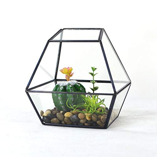 Pflanzenbehälter Kreative Quadrat Modern Künstlerisch Klar Geometrisches Glas Terrarium Für Zuhause Und Hochzeit Innen- Und Außendekoration Größe Small (Farbe: Schwarz Größe: 15x15x14,5cm) von RLUYFGGTLNHGT