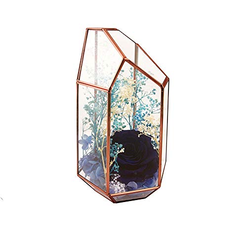 Pflanzenbehälter Langlebig Klar Unregelmäßiges Prisma Glas Geometrisches Terrarium Für Sukkulenten Luftpflanzen Hochzeit Couchtisch (Roségold) (Farbe: Roségold Größe: 11,5 x 10 x 19,0 cm) von RLUYFGGTLNHGT
