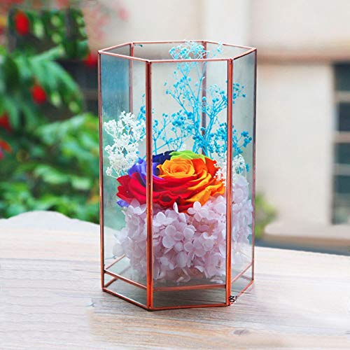 Pflanzenbehälter Langlebige geometrische klare Glasblumenvase für Sukkulenten Luftpflanzen Hochzeit Couchtisch (Farbe: Roségold, Größe: 11,5 x 10 x 19,0 cm) von RLUYFGGTLNHGT