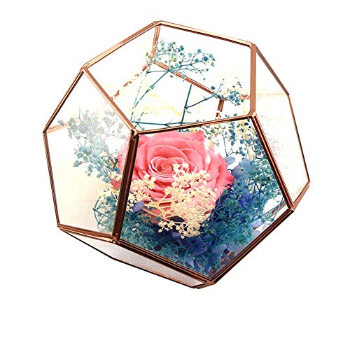 Pflanzenbehälter Langlebiger Roségold Geometrischer Glas Terrarium Behälter DIY Desktop Pflanzgefäß für Sukkulenten Luftpflanzen Hochzeit Couchtisch (Farbe: Roségold Größe: 11,5 x 10 x 19,0 cm) von RLUYFGGTLNHGT