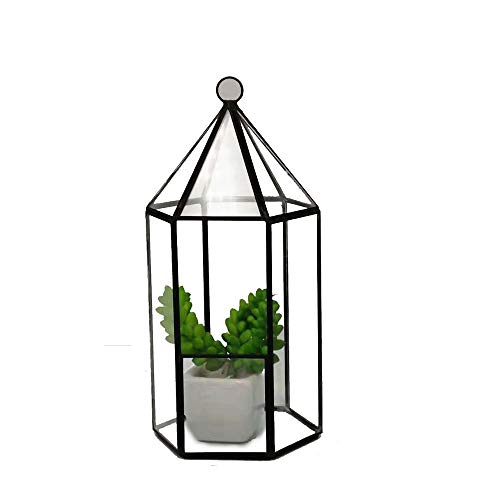 Pflanzenbehälter Langlebiges, modernes Polyeder, hängendes Glas, geometrische Terrarien für Sukkulenten, Luftpflanzen, Hochzeit, Couchtisch (Farbe: Schwarz, Größe: 9,5 x 8,5 x 21 cm) von RLUYFGGTLNHGT