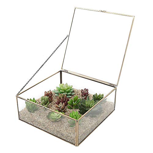 Pflanzenbehälter Langlebiges, quadratisches, klares Glas, Terrarium-Display für Sukkulenten, Luftpflanzen, Hochzeit, Couchtisch, Schmuck-Organizer (Farbe: Gold, Größe: 20 x 20 x 8,5 cm) von RLUYFGGTLNHGT