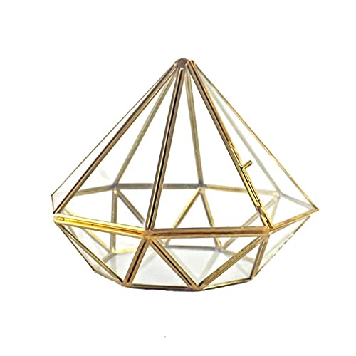 Pflanzendisplay Handgefertigtes Glas Geometrisches Terrarium Messing Sukkulenten Farn Moos Töpfe für Pflanze (Farbe: Gold Größe: Einheitsgröße) (Gold Einheitsgröße) von RLUYFGGTLNHGT