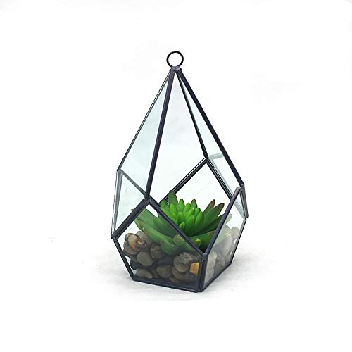 Terrarien Geometrischer großer Diamant-Desktop-Garten-Pflanztopf für Sukkulenten Luftpflanzen Hochzeit Indoor-Pflanzgefäße Behälter für Pflanzen (Farbe: Schwarz Größe: 18,5 x 12 x 6,5 cm) (Schwarz von RLUYFGGTLNHGT