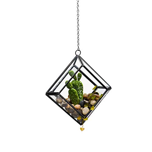 Terrarien Modern Artistic Hanging Glass Terrarium Sukkulent Air Plant Holder Wedding Aisle Pedestal Home Decor Indoor Planters Container for Plants (Color : Black Size : 14.5x5x15cm) (Black 14.5x5x15cm) von RLUYFGGTLNHGT