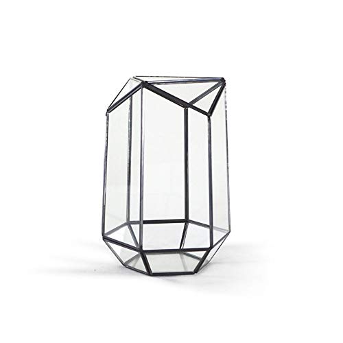 Terrarium Sechseckige Geometrie Saftige Moosfarne Outdoordekoration Hochzeit Kristallkugel (Farbe: Schwarz Größe: 13,5 x 12 x 22,5 cm) (Messing 13,5 x 12 x 22,5 cm) von RLUYFGGTLNHGT