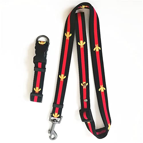 Hundeleine Hundehalsband und Leine Anzug Sicherheitsgurt Haustiergeschirr Verstellbare Führleine(Black Set,M) von RLVYTA