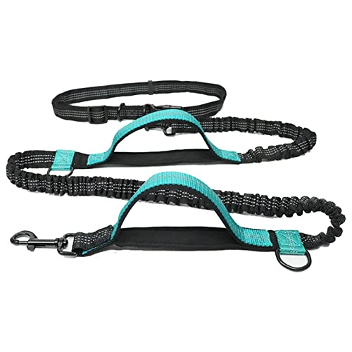 RLVYTA Hundeleine Hände frei, elastische Hundeleine für Laufen, Gehen, Joggen Verstellbare Führleine(Teal) von RLVYTA