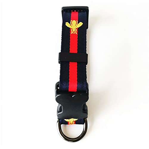 RLVYTA Hundeleine Hundehalsband und Leine Anzug Sicherheitsgurt Haustiergeschirr Verstellbare Führleine(Black Collar,M) von RLVYTA