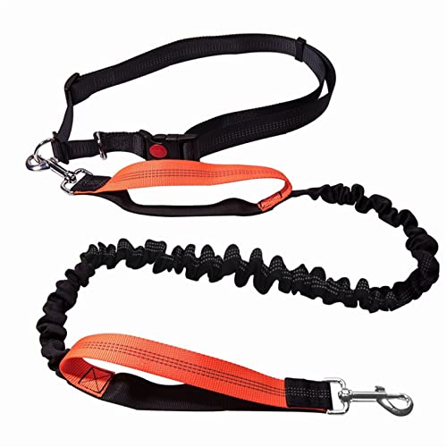 RLVYTA Hundeleine Hundeleine Running Elasticity Haustierprodukte Hundegeschirr Halsband Joggingleine Verstellbare Führleine von RLVYTA