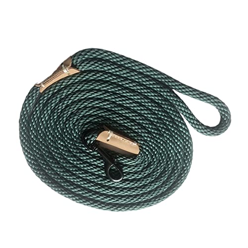 RLVYTA Hundeleine Hundetrainingsleine, Seil, leicht, klein, mittelgroß, Hunde-Tracking-Leinen, 2 m, 5 m, 10 m Verstellbare Führleine(Light Green,1.5M (5ft)) von RLVYTA