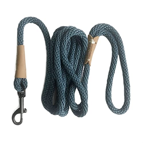 RLVYTA Hundeleine Hundetrainingsleine, Seil, leicht, klein, mittelgroß, Hunde-Tracking-Leinen, 2 m, 5 m, 10 m Verstellbare Führleine(Sky Blue,1.5M (5ft)) von RLVYTA