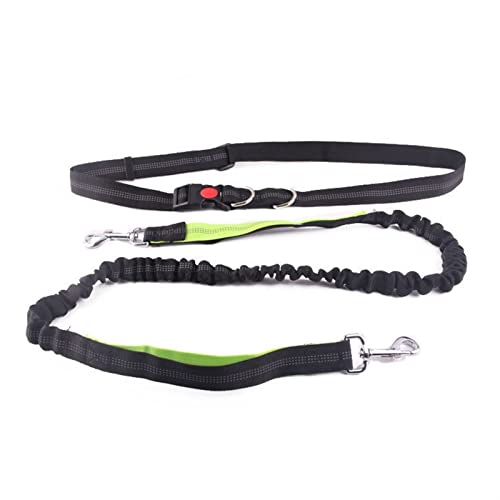 RLVYTA Hundeleine Laufende Hundeleine Haustierprodukte Hundegeschirr Halsband Joggingleine Verstellbare Taillenleinen Verstellbare Führleine(Gold) von RLVYTA