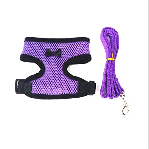 RLVYTA Hundeleine Laufleine für Hündchen, Halsband, Polyester, für kleine, mittelgroße Hunde, Katzen, Haustiere Verstellbare Führleine(Purple(with Leash),XS) von RLVYTA