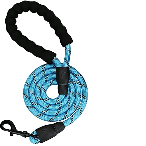 RLVYTA Hundeleine Nylon Hundeleine Training Laufseil für mittelgroße Hunde Starke Bleileinen Verstellbare Führleine(Blue) von RLVYTA