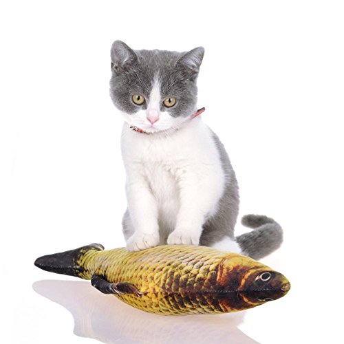 RMENGZHOUXI Haustier Katze Kätzchen Kauen Katzenspielzeug Gefüllter Fisch Minze Haustier Interaktives Katzengeschenk von RMENGZHOUXI