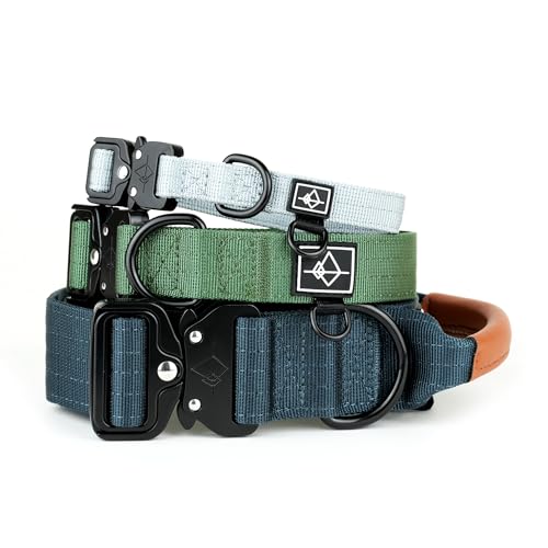 MADE TO ROAM Premium Hundehalsband – Verstellbares, strapazierfähiges Nylonhalsband mit Schnellverschluss-Metallschnalle (Arizona Heartbeat, Größe 4) von ROAM