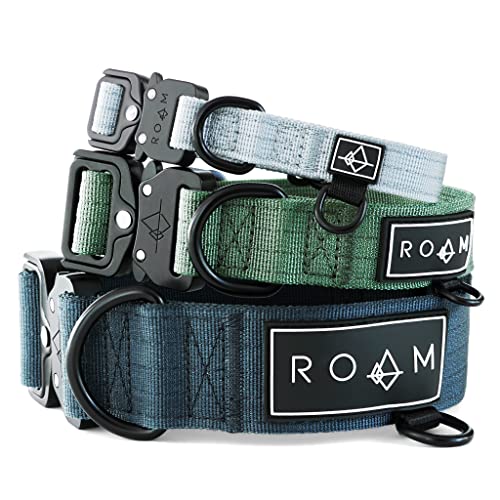 Made to Roam Premium Hundehalsband – verstellbares, strapazierfähiges Nylonhalsband mit Schnellverschluss-Metallschnalle (Oregon Haze, Größe 3) von ROAM