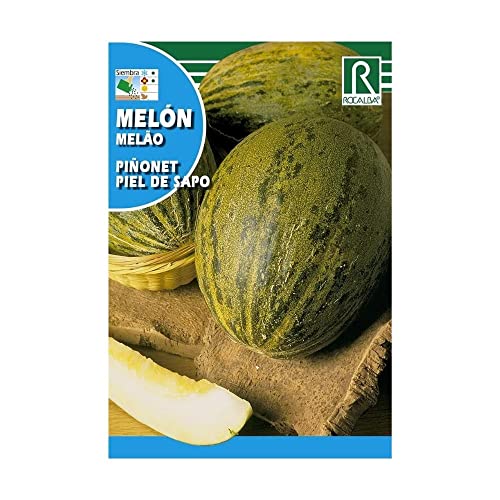 ROCALBA Samen Melon piñonet P.S. 10UD von ROCALBA