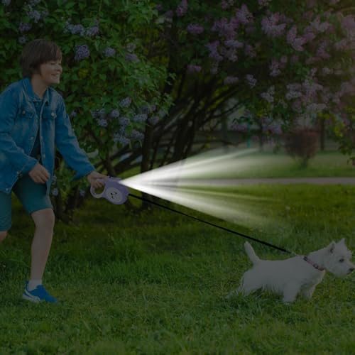 ROCKIA Hund mit Taschenlampe – beleuchteter Hund für nächtliche Spaziergänge mit Bremse, Hundeverhaltenshilfe für Festivals, Paraden, Reisen, Camping, Ausflüge, Spaziergänge von ROCKIA