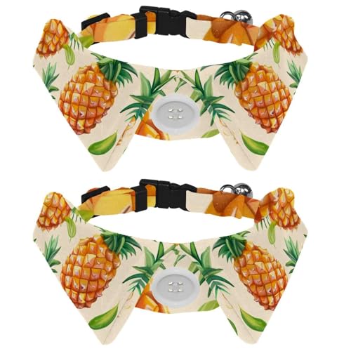 2 Packungen Obst-Ananas-Fliege für Hunde, Hemd, Revers, Katze, Kätzchen, Befestigung, Hundehalsband mit Fliege für kleine Katzen, Welpen, Haustiere von RODAILYCAY