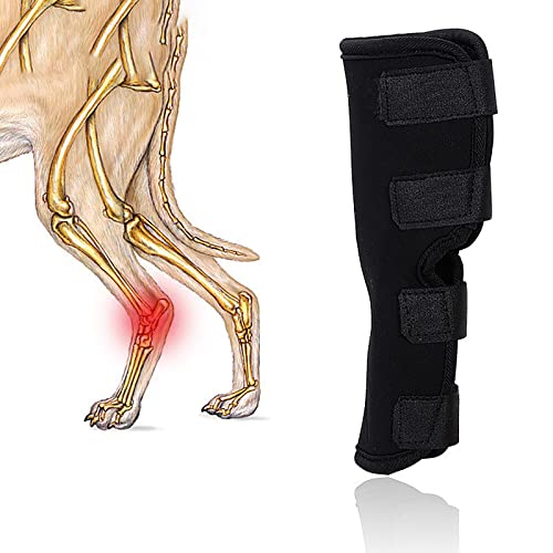 Hundebein Leck Hülse, Hund Erholung Anzug, verstellbare Hund Leggings, mit Riemen für Heilung und Verhindert Verletzungen, Hundebein Hülse, Anti Leck für Hunde, Kniekappe Dislocation (L) von ROFRA