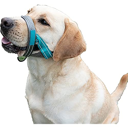 Hundekopfhalsband,Kopfgeschirr stoppt Hundeziehen,No-Pull Hundehalsband,einstellbar,ideal für Leinentraining,für kleine mittlere und große Hunde (L) von ROFRA