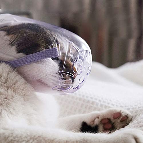 Katzenmündung,Hundemündung,Anti-Bite-Anti-Call-Mundabdeckung,transparente Katzengesichtsmaske für alle Katze und Spitze Mundhund (drei Größen) (Medium) von ROFRA