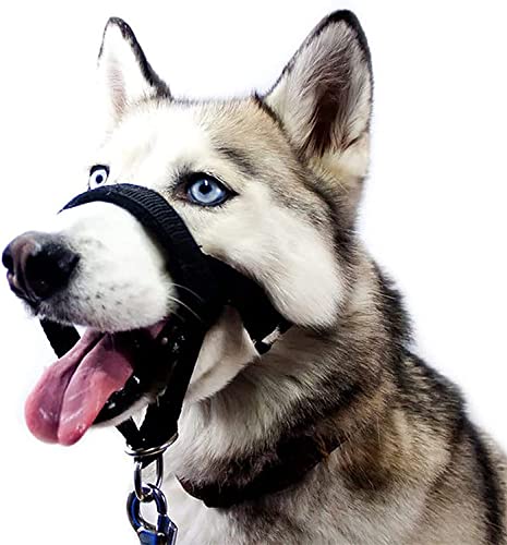 Kopfgeschirr für Hunde, Hundemaulkorb, Halfterhalsband Für Hunde, No-Pull Trainingswerkzeug für Hunde auf Spaziergängen, Kopfband für mittlere große Hunde. Fünf Größen (M) von ROFRA
