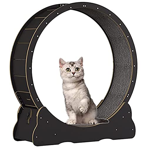 Cat Laufrad, Cat Wheel Exerciser für Indoor-Katzen, Cat Laufbandrad mit Sicherungsstift, geräuschlose TPE-Rolle, Cat Laufrad für die tägliche Fitness der Katze,Black-XL von ROGHA