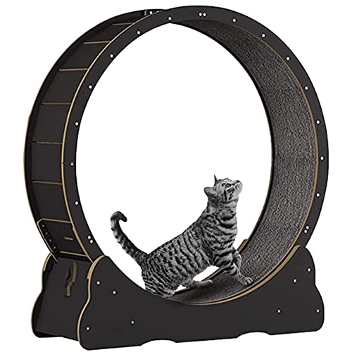 ROGHA Cat Laufrad für Hauskatzen, Cat Laufräder, Einfach zu Montierendes Cat Laufbandrad mit Arretiermechanismus, Ultraleiser Lauf für Gesunde Katzen,Black-XL von ROGHA