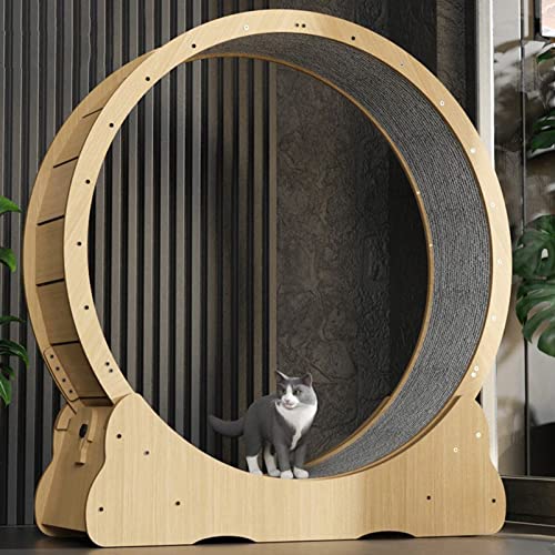 Katzen laufrad cat Wheel laufräder für Katzen Katzen laufrad drinnen Haustierfreundliches Katzenlaufband, Vier Größen erhältlich,L von ROGHA