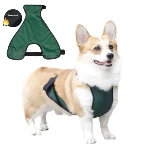 Hund Regenmantel,Haustier Regenmantel, wasserdichte Bauchdecke for kurzbeinige Hündinnen/Männchen, Brustschutz, warme Hundeweste, Regenjacke for kleine Hunde, Welpenregenmantel(Green Male,L) von ROJDFCNBW