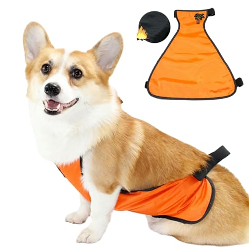 Hund Regenmantel,Haustier Regenmantel, wasserdichte Bauchdecke for kurzbeinige Hündinnen/Männchen, Brustschutz, warme Hundeweste, Regenjacke for kleine Hunde, Welpenregenmantel(Orange Female,S) von ROJDFCNBW