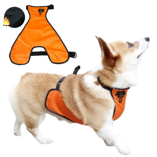 Hund Regenmantel,Haustier Regenmantel, wasserdichte Bauchdecke for kurzbeinige Hündinnen/Männchen, Brustschutz, warme Hundeweste, Regenjacke for kleine Hunde, Welpenregenmantel(Orange Male,L) von ROJDFCNBW