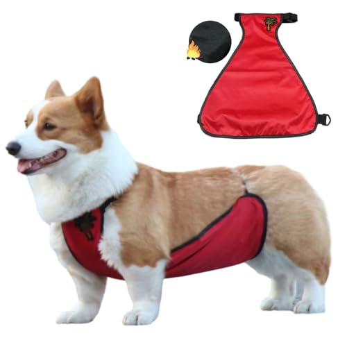 Hund Regenmantel,Haustier Regenmantel, wasserdichte Bauchdecke for kurzbeinige Hündinnen/Männchen, Brustschutz, warme Hundeweste, Regenjacke for kleine Hunde, Welpenregenmantel(Red Female,L) von ROJDFCNBW