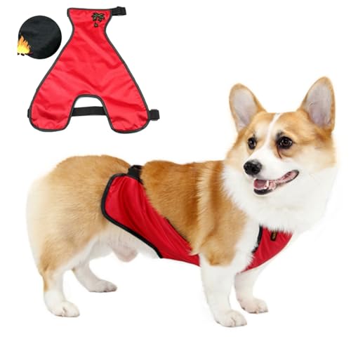 Hund Regenmantel,Haustier Regenmantel, wasserdichte Bauchdecke for kurzbeinige Hündinnen/Männchen, Brustschutz, warme Hundeweste, Regenjacke for kleine Hunde, Welpenregenmantel(Red Male,L) von ROJDFCNBW