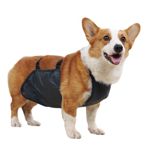 Hund Regenmantel,Haustier Regenmantel, wasserdichte Haustierkleidung Hunderegenjacke Bauchschutz Corgi Regenmantel Hundebauchband Atmungsaktiv Anti Schmutzig Welpen Outfits Doggy(Gray,L) von ROJDFCNBW