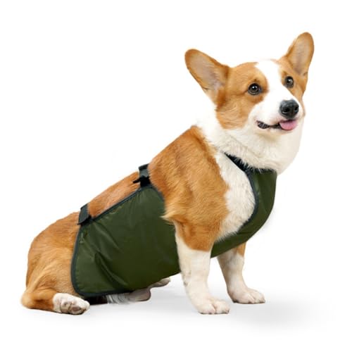 Hund Regenmantel,Haustier Regenmantel, wasserdichte Haustierkleidung Hunderegenjacke Bauchschutz Corgi Regenmantel Hundebauchband Atmungsaktiv Anti Schmutzig Welpen Outfits Doggy(Green,L) von ROJDFCNBW